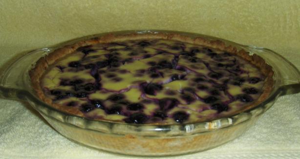 Blueberry Yogurt Pie. Photo by Dorel