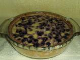 Blueberry Yogurt Pie