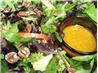 Mixed Greens' Salad With Apples and Maple-Walnut Oil Dressing. Recipe by Cookgirl