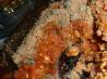 Garbanzo Cassoulet