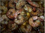 Italian Shrimp