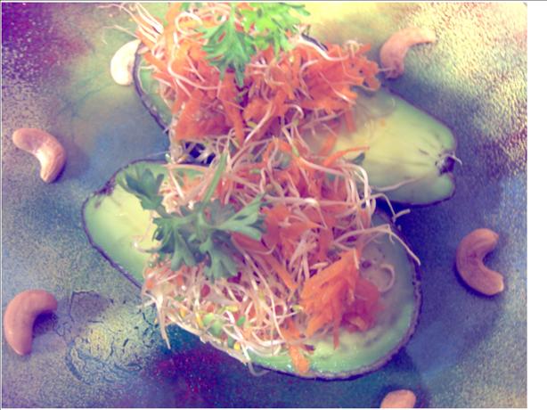Avocado With Alfalfa. Photo by Sharon123