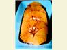 Balsamic-Glazed Oranges