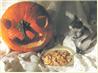 Roasted Pumpkin Seeds