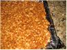 O.j. Sarah's Granola. Recipe by ClareVH