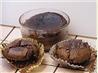 Chocolate Lava Cake