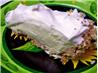 Margarita Pie With a Pretzel Crust!