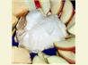 Bailey's Irish Cream Fruit Dip