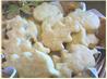 Easy Biscuits