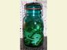 Danish Pickled Cucumbers (Syltede Agurker)