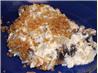 Finnish Baked Mushrooms