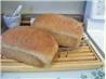 Honey Wheat Bread