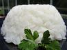 Perfect Basic White Rice