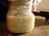 Sourdough  Bread Starter