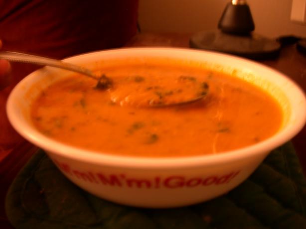 Red Lentil, Tomato and Spinach Soup. Photo by Michelle from Central Time