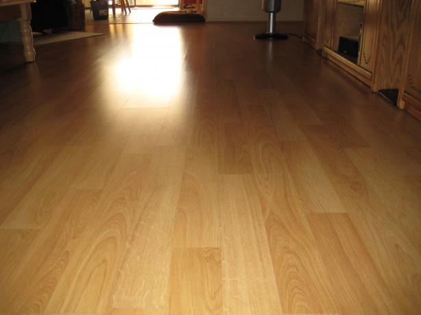 Laminate Floor Cleaner. Photo by DeeVaFoodie