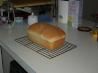 Whole Wheat Oatmeal Buttermilk Bread. Recipe by Kittencalskitchen