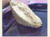 Apple Scone Cake