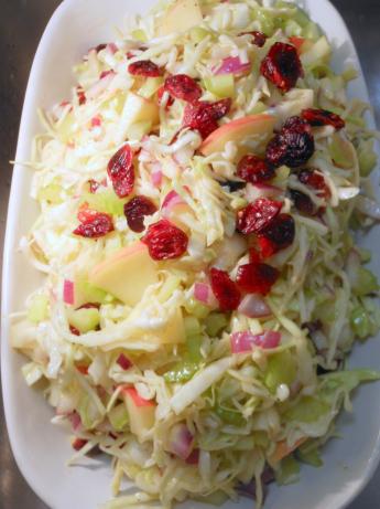 Coleslaw With Apples & Dried Cranberries. Photo by JustJanS