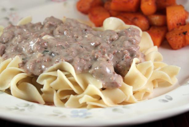 Stroganoff. Photo by SashasMommy