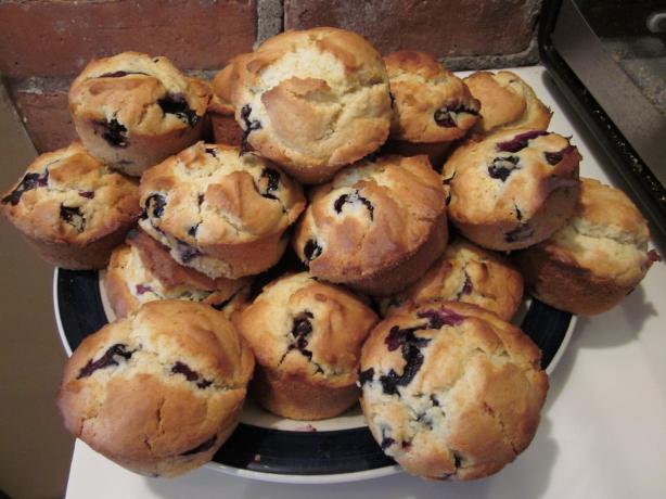 Tims' Mom's Blueberry Muffins. Photo by rileyk2