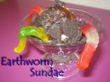 Earthworm Sundae. Photo by Karen=^..^=