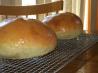 Sourdough Rosemary Potato Bread