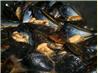 Mussels (Pipies) in Black Beans
