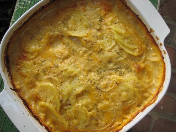 Cheesy Scalloped Potatoes. Photo by gailanng