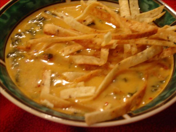 Amazing Chicken Tortilla Soup. Photo by Not-2-Sweet