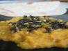 Red Lentil & Coconut Curry. Recipe by Sharon123