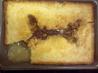 Peach Cobbler