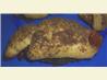 Crescent Cinnamon Cherry Rolls