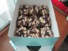 Deep-Dish Chocolate Brownies. Recipe by bailey46