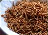 Chow Mein Noodle Snack. Recipe by luvmybge