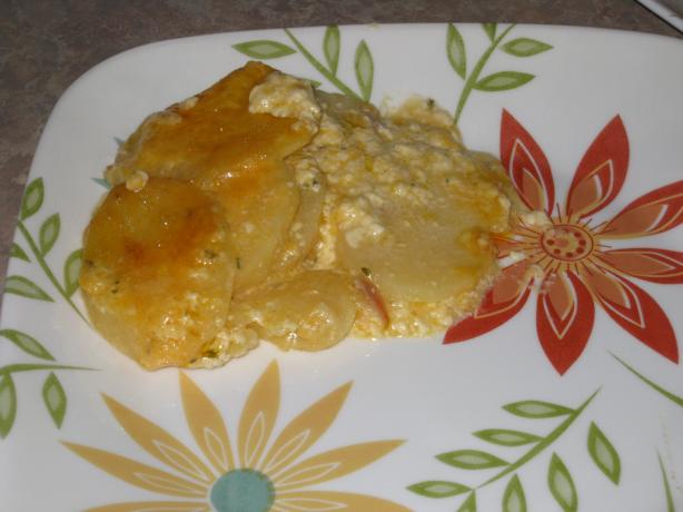 Cheddar Scalloped Potatoes. Photo by FrenchBunny