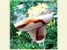 Chocolate Colada
