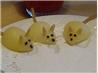 Mice " Kids & Adults Will Love!"