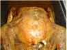 Blasted Chicken!!!!!