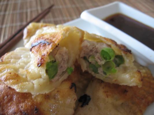 Chinese Steamed Dumplings with Dipping Sauce. Photo by Marlene.