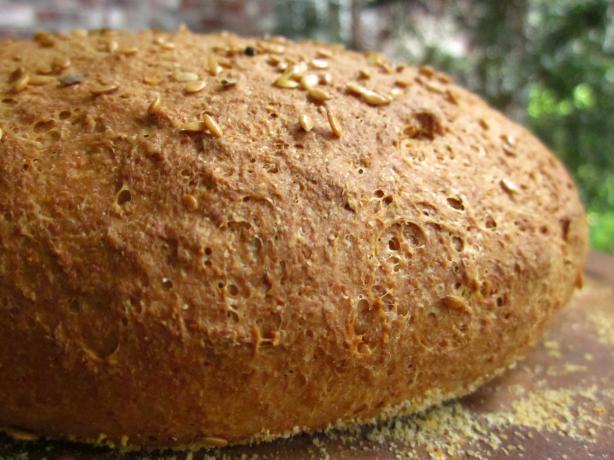 Flax Seed Bread (Bread Machine). Photo by gailanng