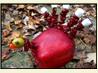 Cute Edible  Apple Turkey (Thanksgiving Treat)