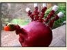 Cute Edible  Apple Turkey (Thanksgiving Treat)