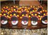 Oreo Turkeys (Thanksgiving Snack)