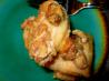 Super Easy Gooey Pecan Caramel Rolls. Recipe by ugogirl