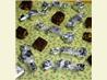 Crunchy Fudge Squares. Recipe by Saturn