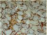 Sesame Almond Squares