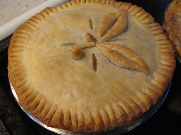 Easiest "homemade" Chicken (Or Turkey) Pot Pie Ever!. Photo by Tish