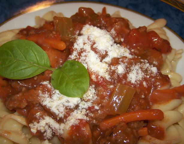 Italian Tomato Sausage Ragu With Penne. Photo by Elly in Canada