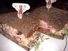 Awesome Turkey Sandwich